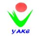 Yake Digital Electronics Co., Ltd