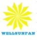 shenzhen weilishun electronic CO.ltd