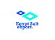 Egypt Salt Export