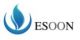 Esoon Corporation LTD