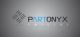 PARTONYX LLC