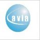 Cavia Technology Co., Ltd.