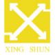 Xingshun Precison dies Co. Ltd.