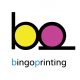 Shanghai Bingo Printing Co., Ltd