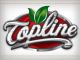 Topline Gifts Co., Limited