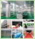 KELVIN(china) CO., Ltd