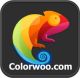 Colorwoo company limited