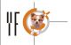 Qingdao Yuanfei Pet Food Co., Ltd