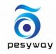 PESYWAY TECHNOLOGY CO., LTD