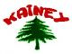 KaiNey Industrial Limited