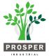 PROSPER INDUSTRIAL GROUP LTD