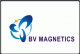 BV Magnetics Co., Ltd