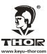 THOR SECURITY SCIENCE
