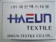 Haeun Texvision Inc.