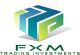 FXM Trading Investments