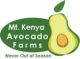 Mt. Kenya Fresh Avocados