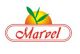 MARVEL CHEMICALS (INDIA) LTD.