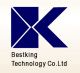 Shenzhen Bestking Technology Co., Ltd