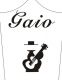 Guangzhou Gaio Music Instrument Trade Co., Ltd