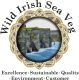 Wild Irish Sea Veg