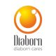 Quanzhou Diaborn Hygiene Products Co., Ltd.