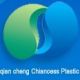 haining chiancess plastic co., ltd