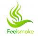 Shenzhen Feelsmoke Technology Co., Ltd