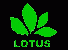 Guangzhou Lotus Trade Co., Ltd.