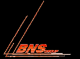 LLC BNS group