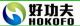 shenzhen hokofo electronic co., ltd