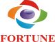 Fortune Controls Pvt Ltd