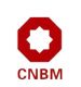 CNBM International Corporation