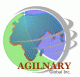 Agilnary Global Inc.