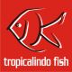 tropicalindo fish