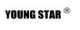 YOUNG  STAR  MOTOR  CO., LTD.