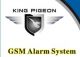 King Pigeon Hi-Tech CO., Ltd