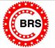 LUOYANG BRS BEARING CO., LTD.