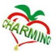 Charming Industrial Trade Co., Ltd