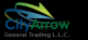 CITY ARROW GENERAL TRADING LLC