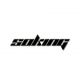 Shenzhen SoKing Technology Company Limited