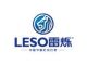 LESO Lighting Electronics *****