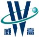 SHANDONG WEIGAO GROUP MEDICAL POLYMER COMPANY  LIMITED
