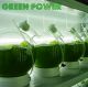 Green Power Nutrition