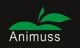 Shenzhen Animuss Company (Electronics)