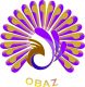 obaz global integrated concepts