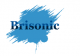 Shenzhen Brisonic Electronics Co., Ltd.