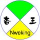 Shanghai Nweking Photoelectric Technology Co., Ltd.