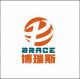 Zigong Brace Trade Co., Ltd.