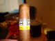 Partagas Petit Coronas Especiales cigars