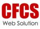 Computer Frontline Consultancy Services (CFCS)